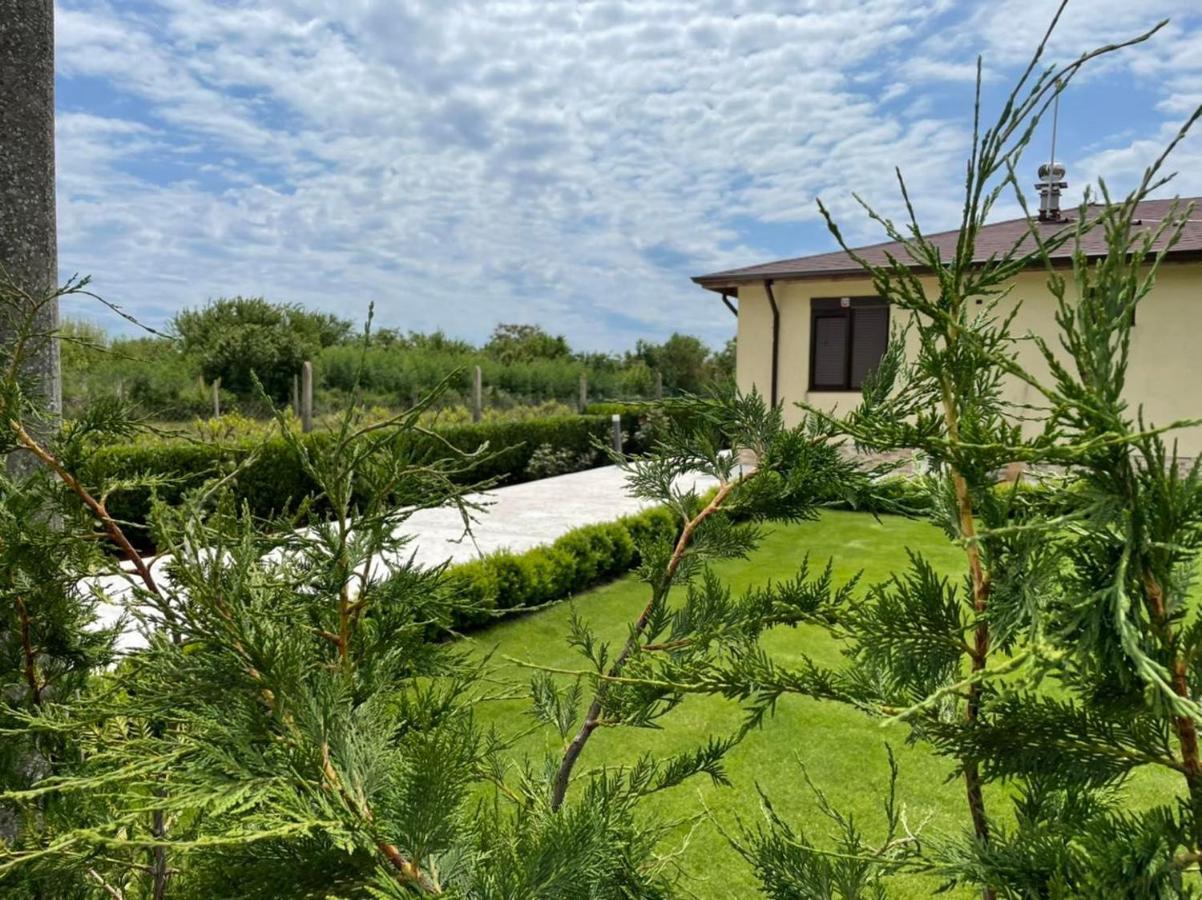 Къща За Гости, Guesthouse Gotinoto Krapeț Exterior foto